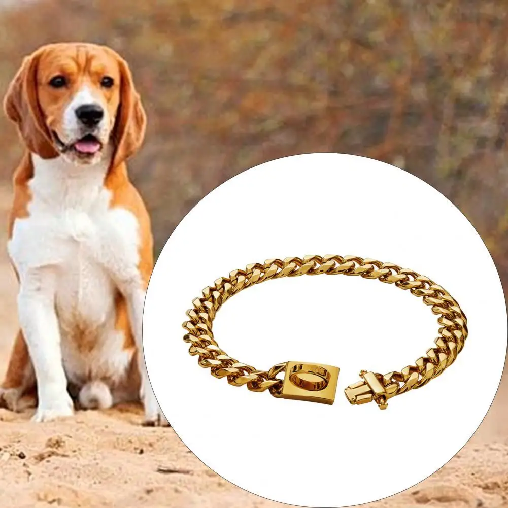 Stainless Steel Golden Color Buckle Design Dog Choker Collar for Pet Supplies