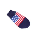 Bandera Americana