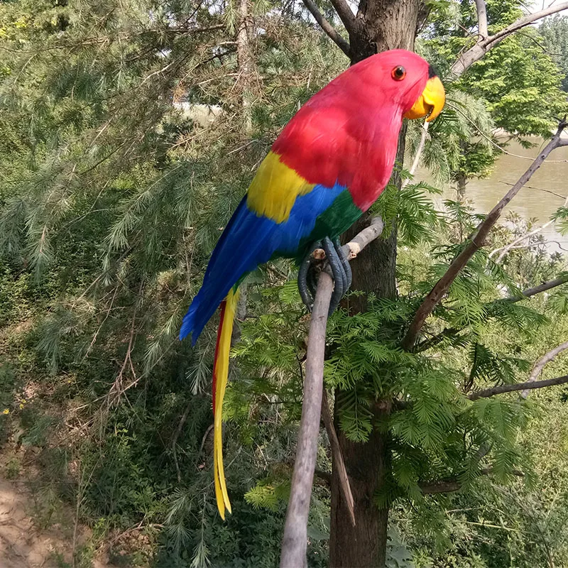 

large 45cm red-blue feathers parrot foam&feathers parrot bird model.home garden, party decoration Xmas gift w0746