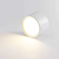 Nordic Modern Surface Mounted Downlight LED Ceiling Light Spotlight Three Light Color Conversion LED Downlight Indoor Lighting 3