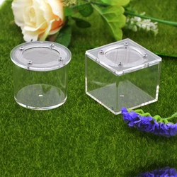 Acrylic stainless steel net cover spider box round ant farm ant nest  reptile tank square insect box