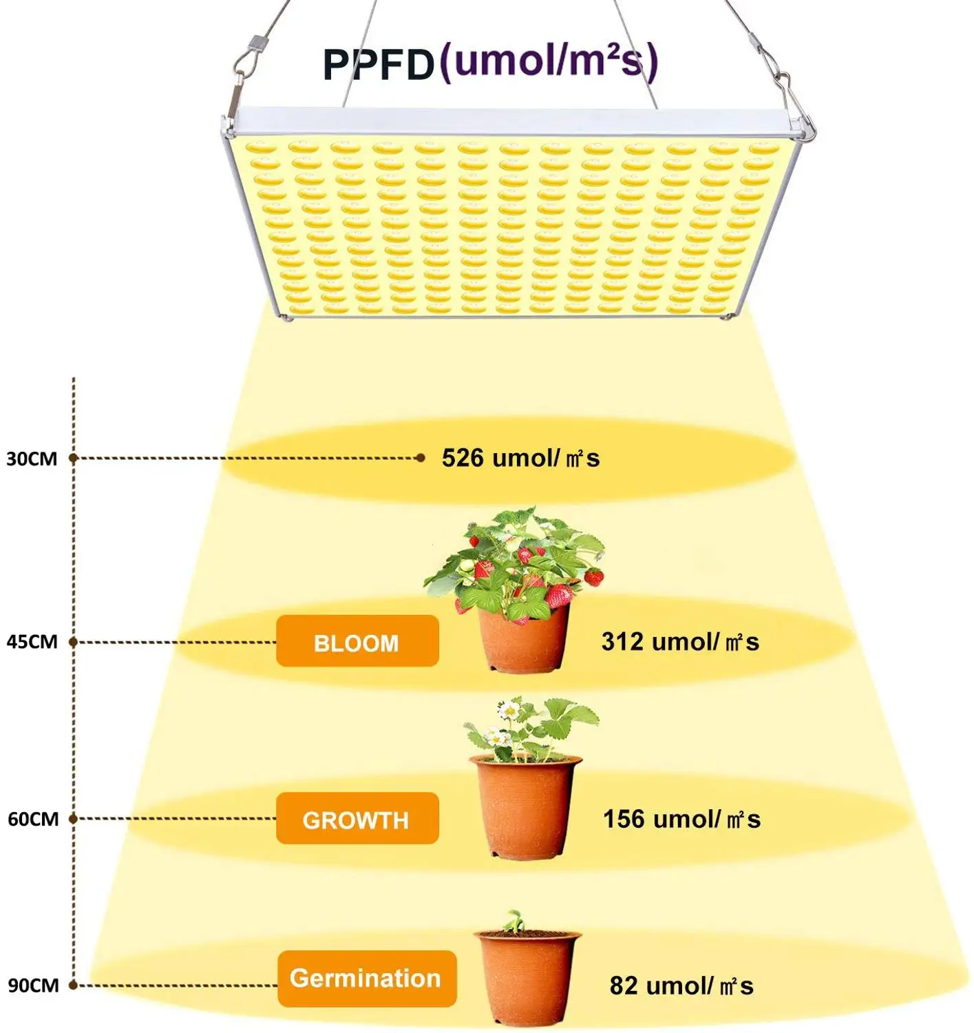 75W Sunlight Led Grow Light Full Spectrum Warm White Indoor Lighting Phyto Lamp For Plant Grow Cultivo Seeds Grow Tent Fitolamp