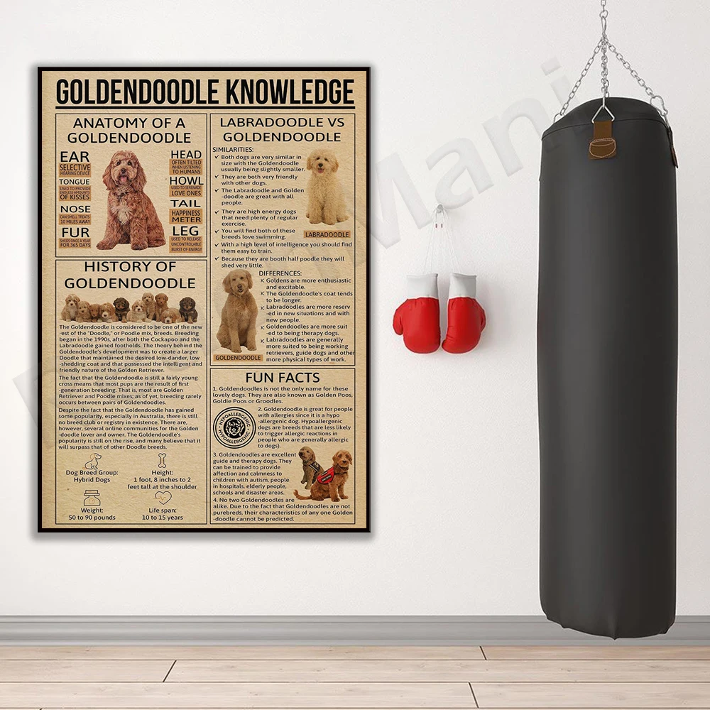 Golden Retriever Animal Knowledge Vintage Dog Poster Wall Art Home Decor, Gift for Animal Dog Lovers