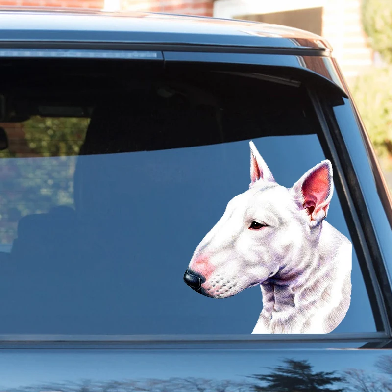 BULL TERRIER Self-adhesive Decal Car Sticker Waterproof Auto Decors on Bumper Rear Window Laptop Choose Size #S60472