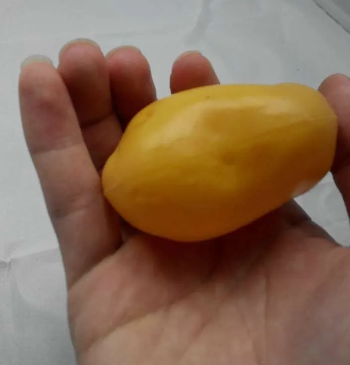 Food Toys Simulation Wholesale Play Educational Toys Vegetables Are Potatoes, Potatoes The Girl Baby Kindergarten Children 2021