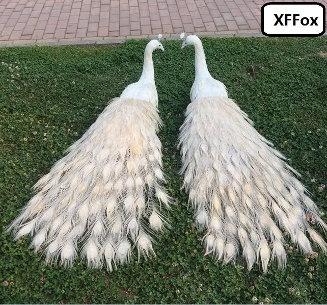 a pair of new real life peacock models foam&feather simulation beautiful white peacock birds gift about 120cm xf2397