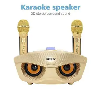 SD306 portable home karaoke system two wireless microphones with 20 watt stereo bluetooth speaker condenser karaoke microphone