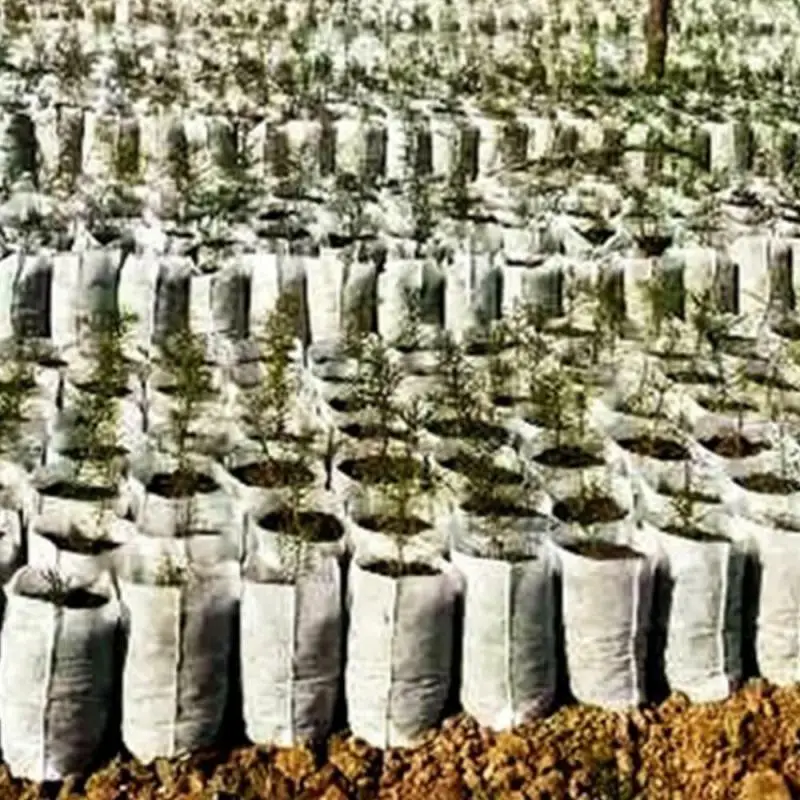100/200PC biodegradabile tessuto Non tessuto vivaio pianta coltiva borse piantina coltiva fioriera vasi da fiori Eco Bag