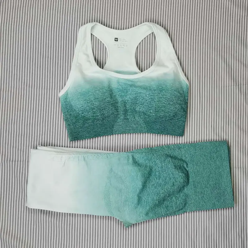 

Yoga Sets Women Seamless Fitness Leggings+Sports Bra 2 Piece Running Sport Wear High Waist Gym Clothing Push-Up Outfit