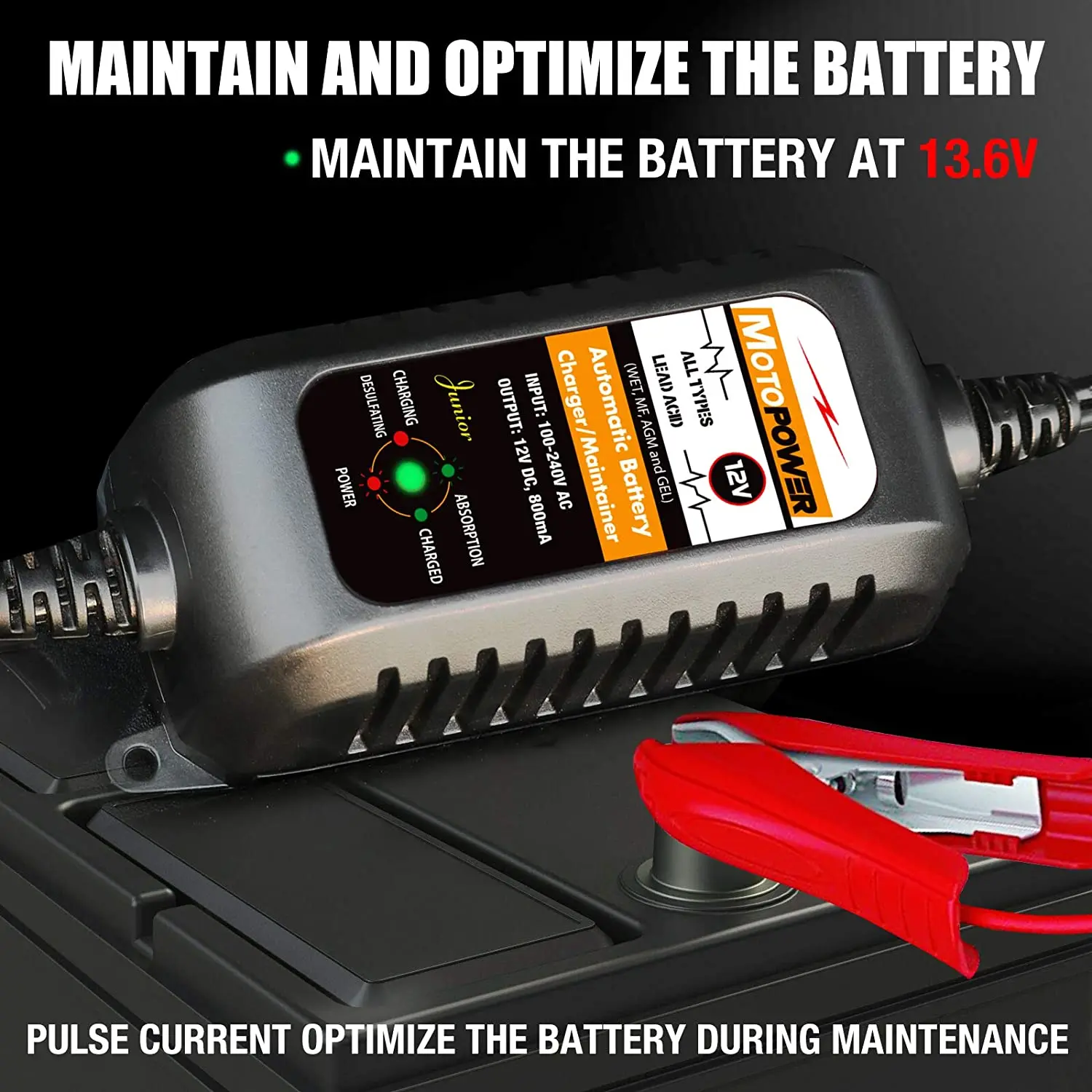 12V 800mA automatischer Smart Car Motorrad Batterieladegerät Betreuer – Detail 21