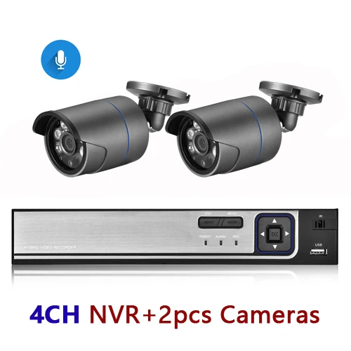 4CH NVR and 2 Camera