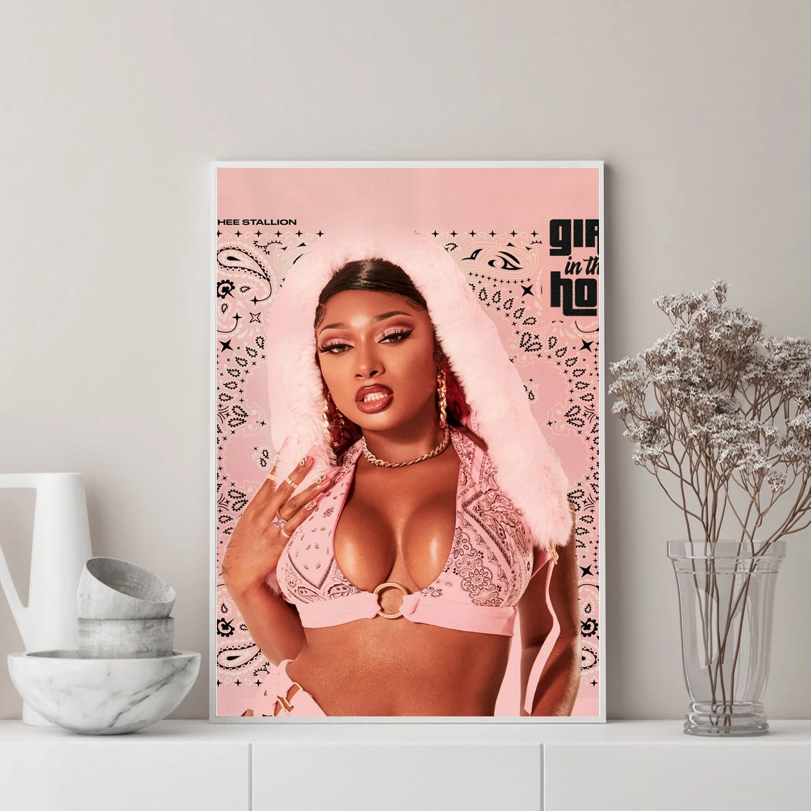 Megan Thee Stallion Girls in the Hood Album Cover Poster Singer Music Star Canvas Photo Photo Art Poster Print Home Decoration