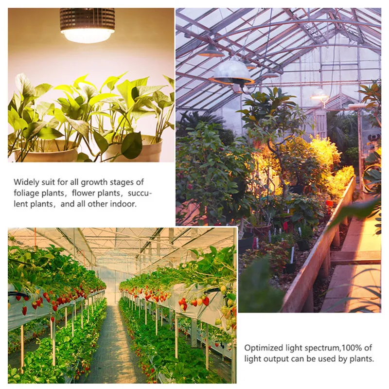Nowy 300W LED rosną światła pełne spektrum Phytolamp E27 ciepły biały czerwony niebieski lampy dla kryty roślin Vegs namiot hydroponiczny szklarnia