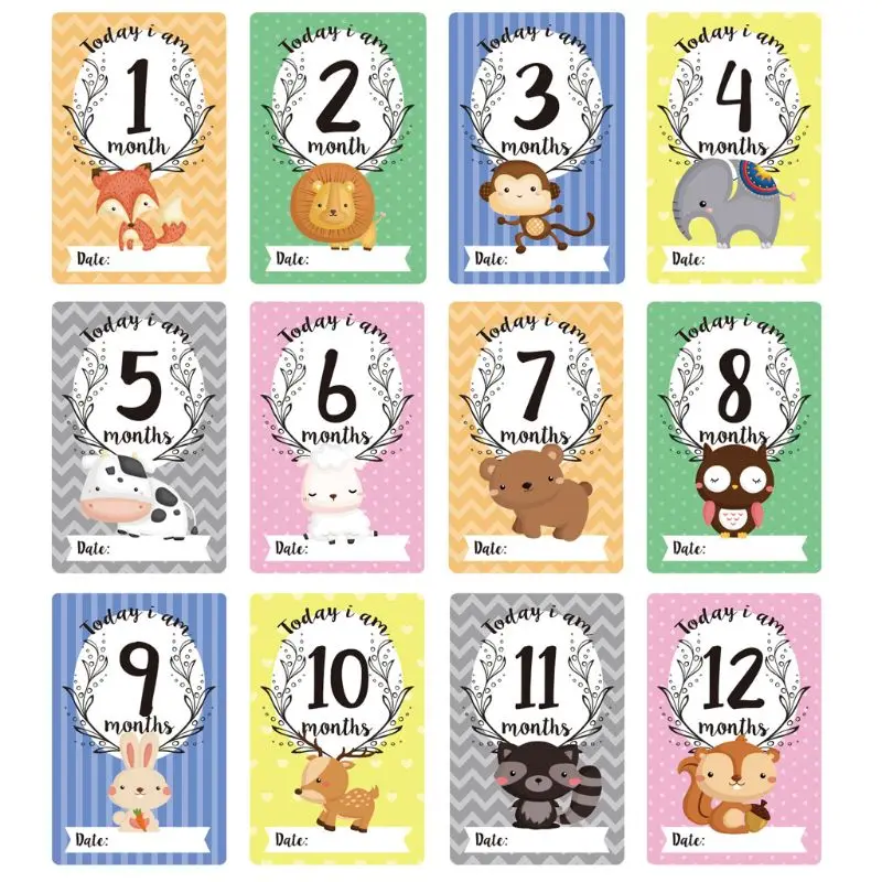 12 Sheet Milestone Photo Sharing Cards Gift Set Baby Age Cards - Baby Milestone Cards, Baby Photo Cards - Newborn Photo