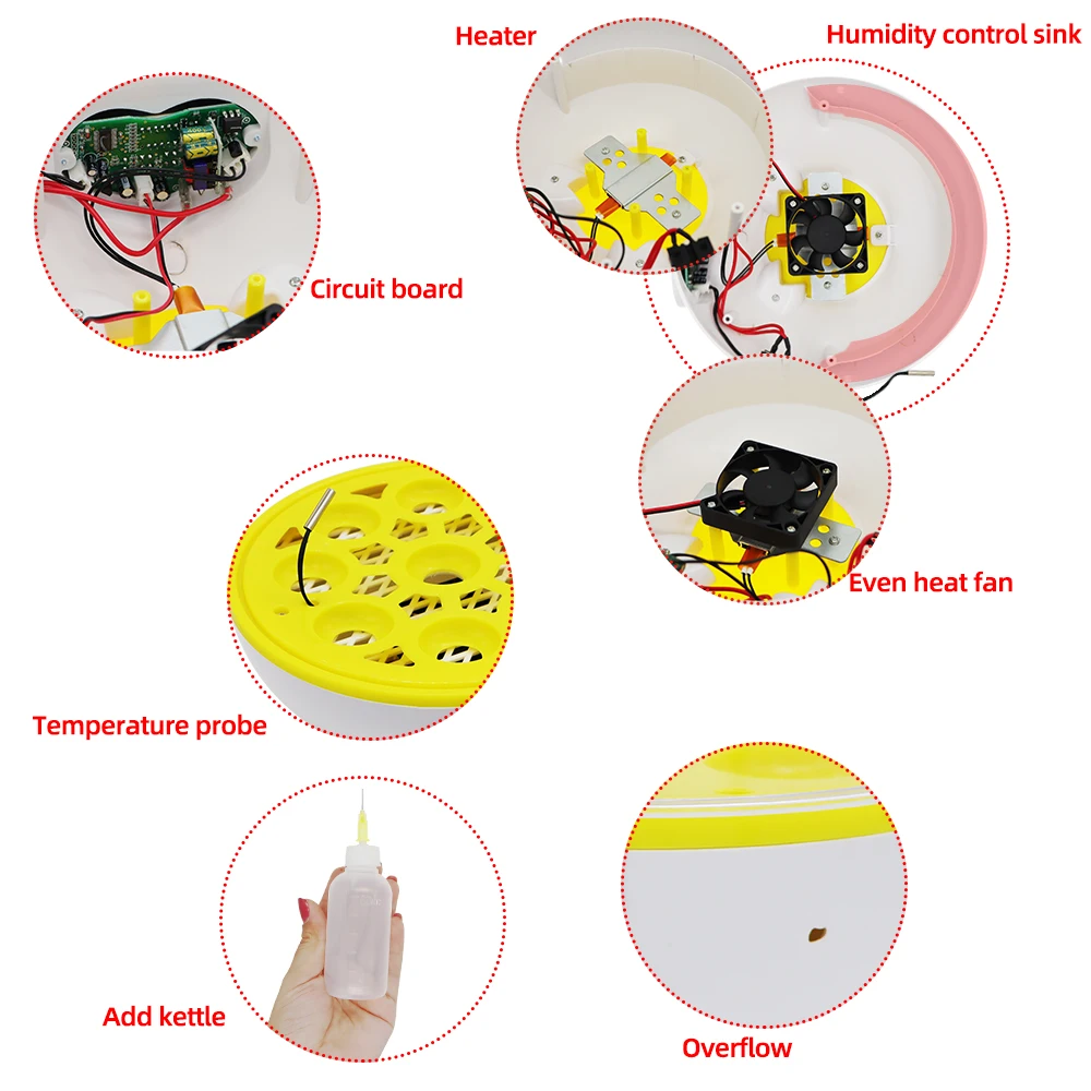 Imagem -06 - Incubadora de Ovos Inteligente Automática Display Digital Ferramenta para Incubação Termostato Chocadeira Aves Profissional Ovos