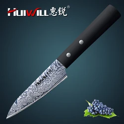 New! 4inch Japanese Style Paring Knife with Damascus Layer High Carbon Steel Petty Fruit Knife Kiritsuke Kitchen Knife