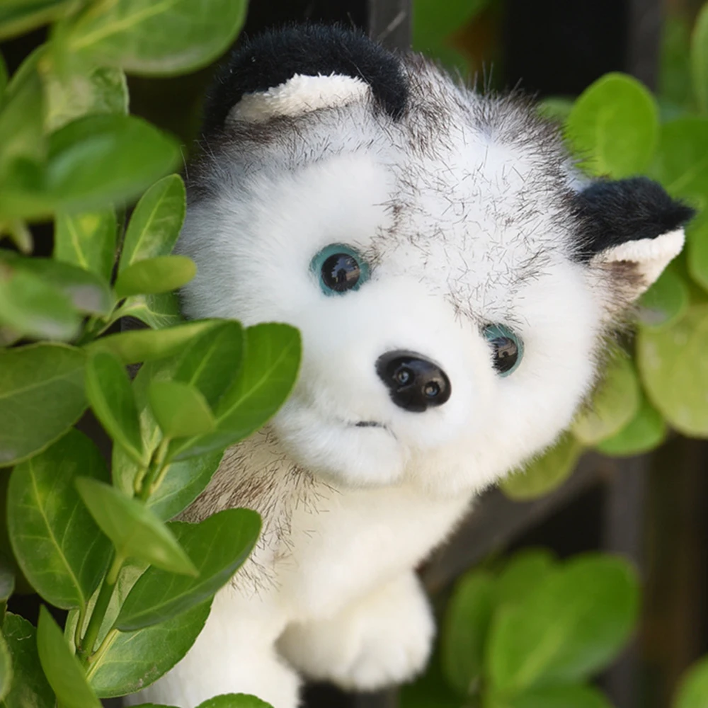 Realistic Husky Dog Stuffed Toys Plush Animals Kids Toys Children  Soft Kawaii Wolf Pet Doll Cute Kids Toys for Girls Boys