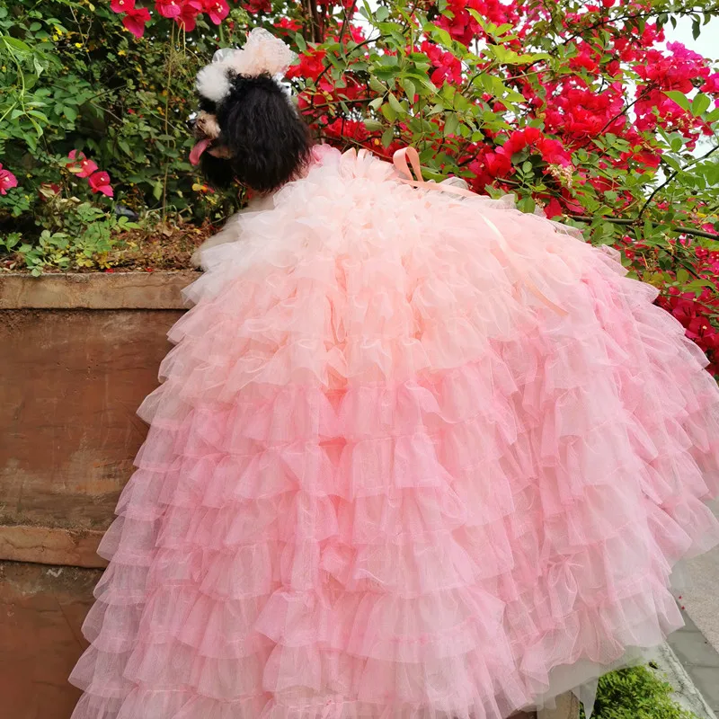 Gradient Pink Tiered Skirt Handmade Luxury Dog Wedding Dress with 3D Trimmings European Palace Style Pet Gown on Sale