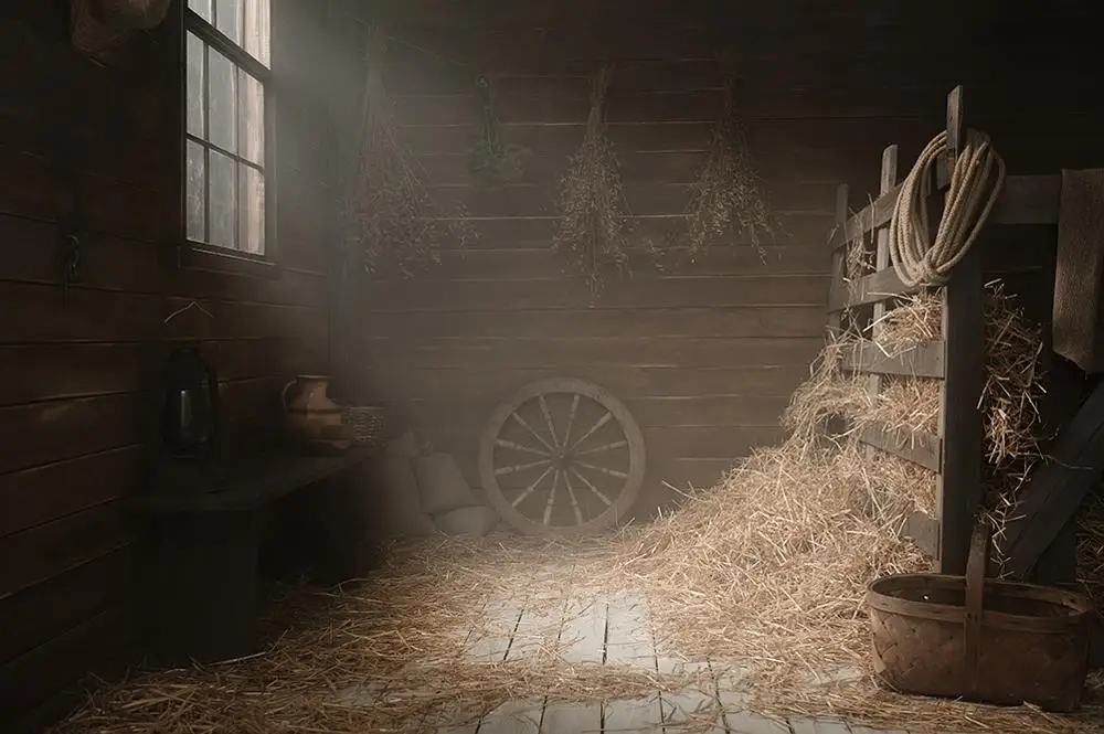 Capisco background photo studio warehouse western haystack barn wood photography backdrop photocall child photophone photozone