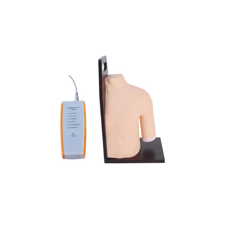 BIX-CK20133 Medical School Teaching Shoulder Joints Intracavity Injection Training Model