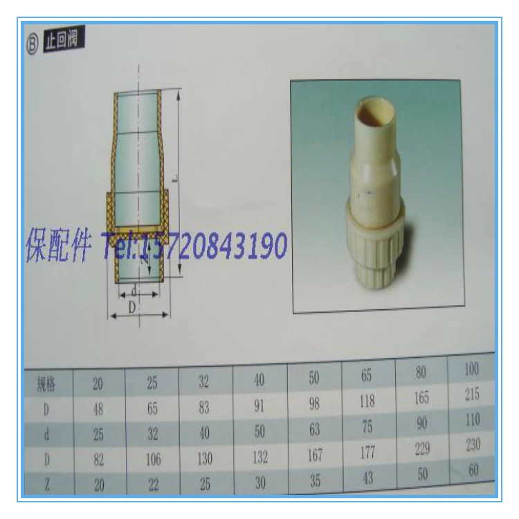 DN 15 / 20 / 25 / 32 / 40 / 50 engineering plastic ABS one way check valve water stop check valve hot sale