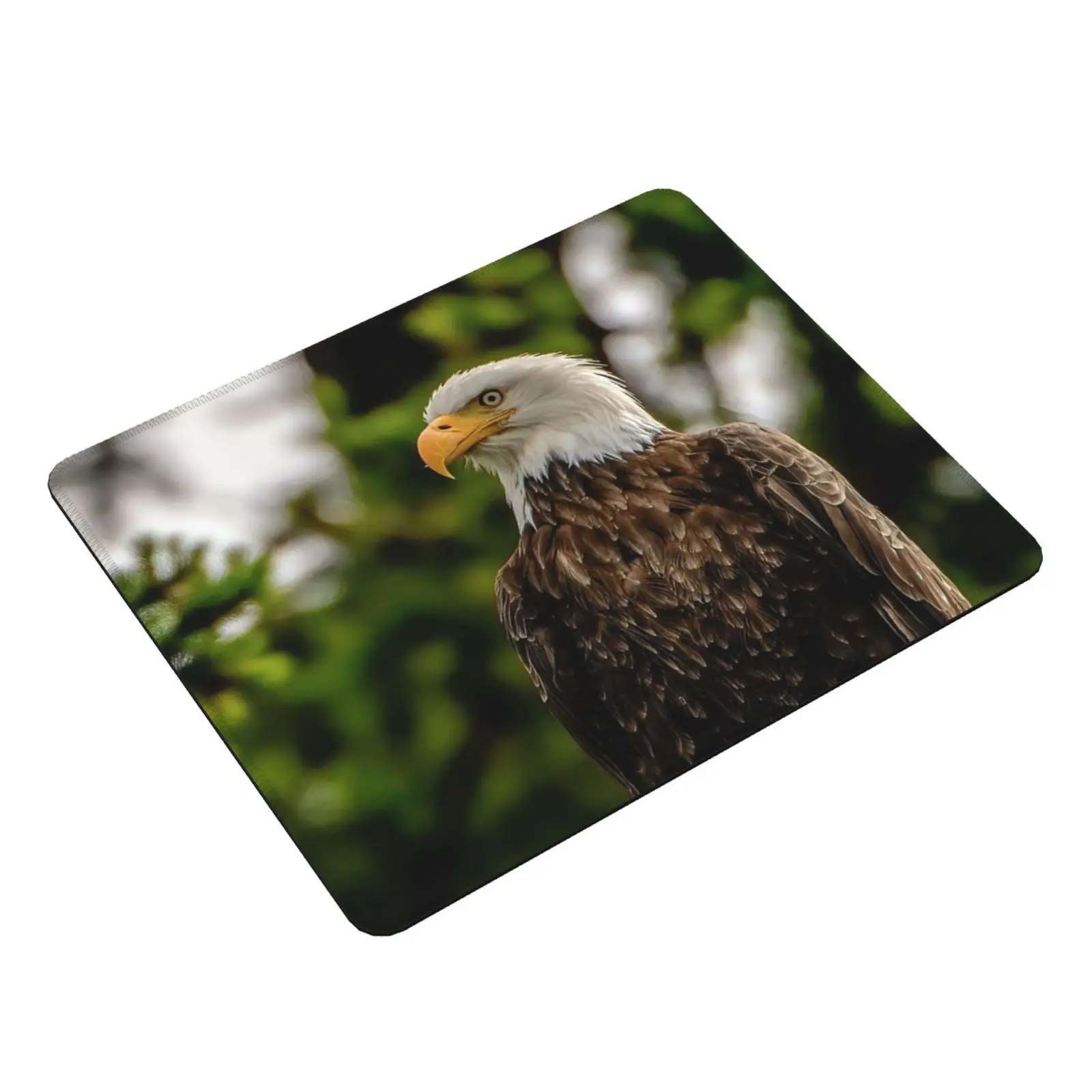 Bald Eagle Mouse Pad DIY Print Eagle Bald Eagle Usa Washington Pacific Northwest Pictorial Pacific