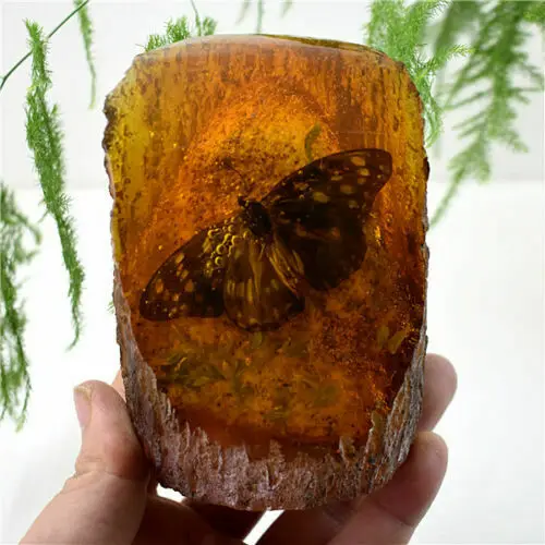 Amber King Fossil Plants Insects Characteristics Butterfly Decorative Pieces 2 orders