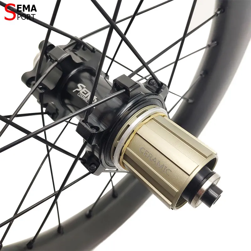 254SD11-WS 14inch 254 Carbon Wheelset SEMA Disc Brake 11Speed JAVA X1 Bicycle Wheel Folding Bike 100/135mm Custom Light Weight