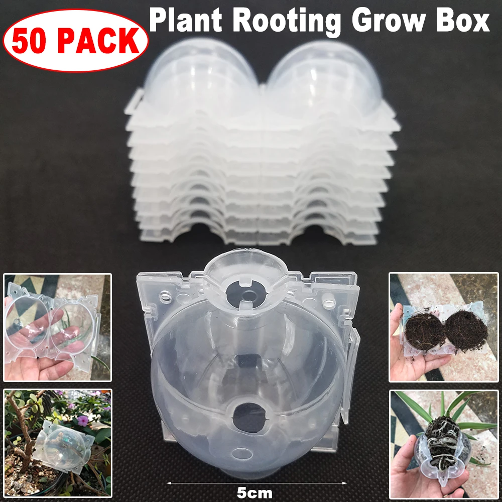 50pcs Garden Plant Root Balls Clear Grafting Rooting Growing Reusable Box Plant Root Device High Pressure Propagation Balls