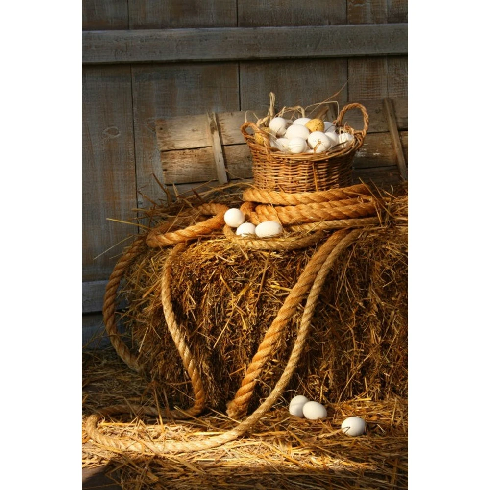 Yeele 가을 배경 농장 헛간 에그 헤이스택 신생아 베이비 샤워 어린이 생일 사진 배경 사진 스튜디오용