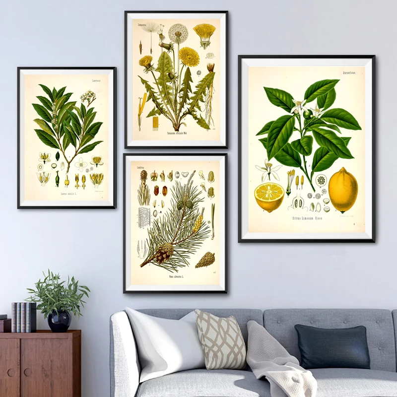 Vintage Botanische Posters en Prints Keuken Muur Foto Koehler's Medicinale Planten Canvas Schilderij voor Woonkamer Home Decor