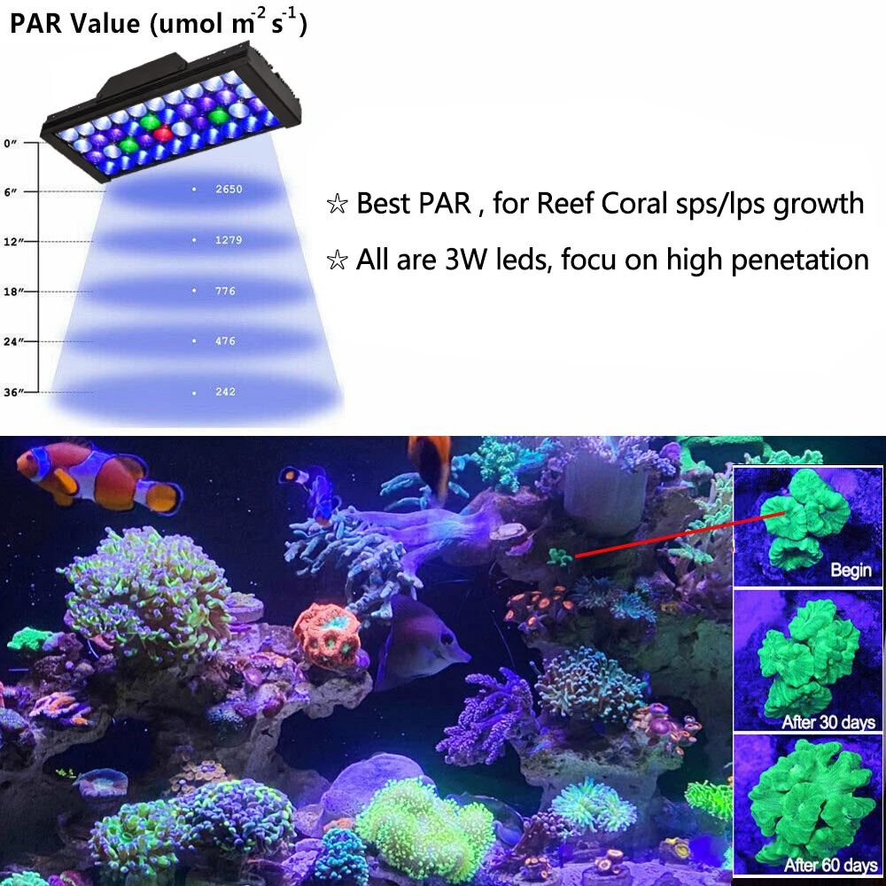 Imagem -04 - Popbloom-iluminação do Aquário com Controlador Lâmpada do Aquário Marinho para Coral Reef Sps Lps Grow Light Lâmpada do Tanque de Peixes Turing30