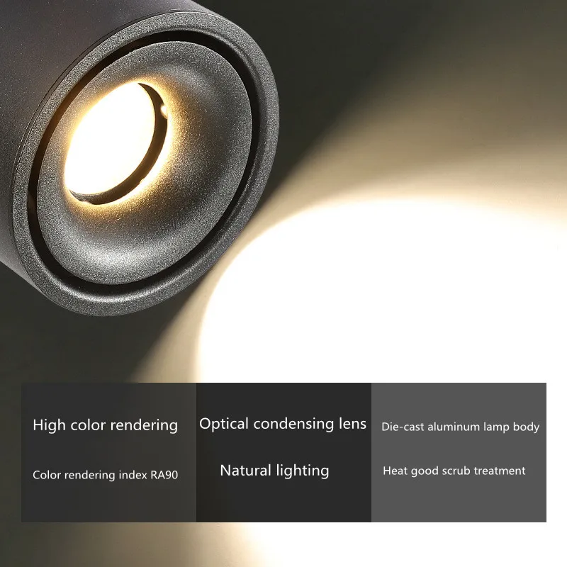 Surface Mounted Dimmable Rotating LED Ceiling Light, COB LED Spotlight, 20W / 24W, with AC110V / 220V LED Driver