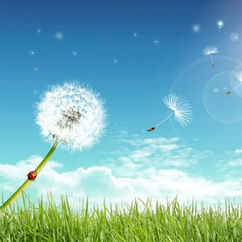 100Pcs Natural Dandelion Seed Small Glass Ball Fillings Resin Wish Dried Pressed Flower Earrings Necklace Jewelry Making