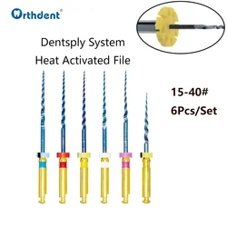 6 Pcs/Set Dental Niti Heat Activated Files Universal Endodontic Rotary Engine Root Canal File 04/06 Mixed 15-40# Dentistry Tools