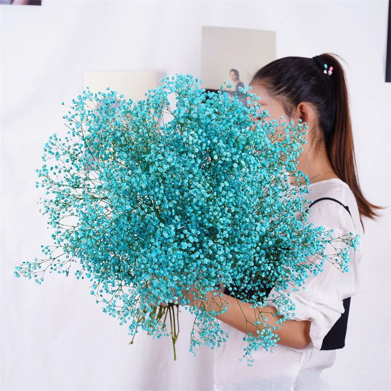 100g Gypsophila Babysbreath Million Stars Fresh-Cut High Quality Natural Preserved Dried Flower Photograph Home Art Decoration