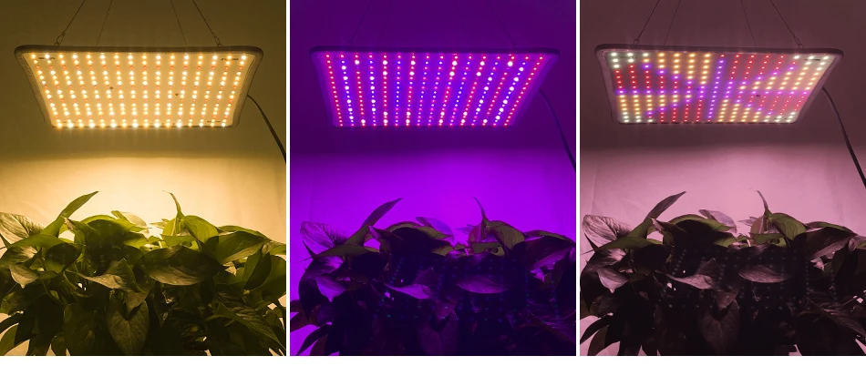Phytolamp LED de espectro completo para plantas, luz de cultivo, semillas de flores de interior, cultivo hidropónico, lá