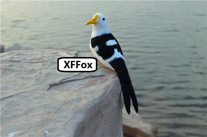 

creative real life seagull bird model foam&feather black back bird gift about 30cm xf2607