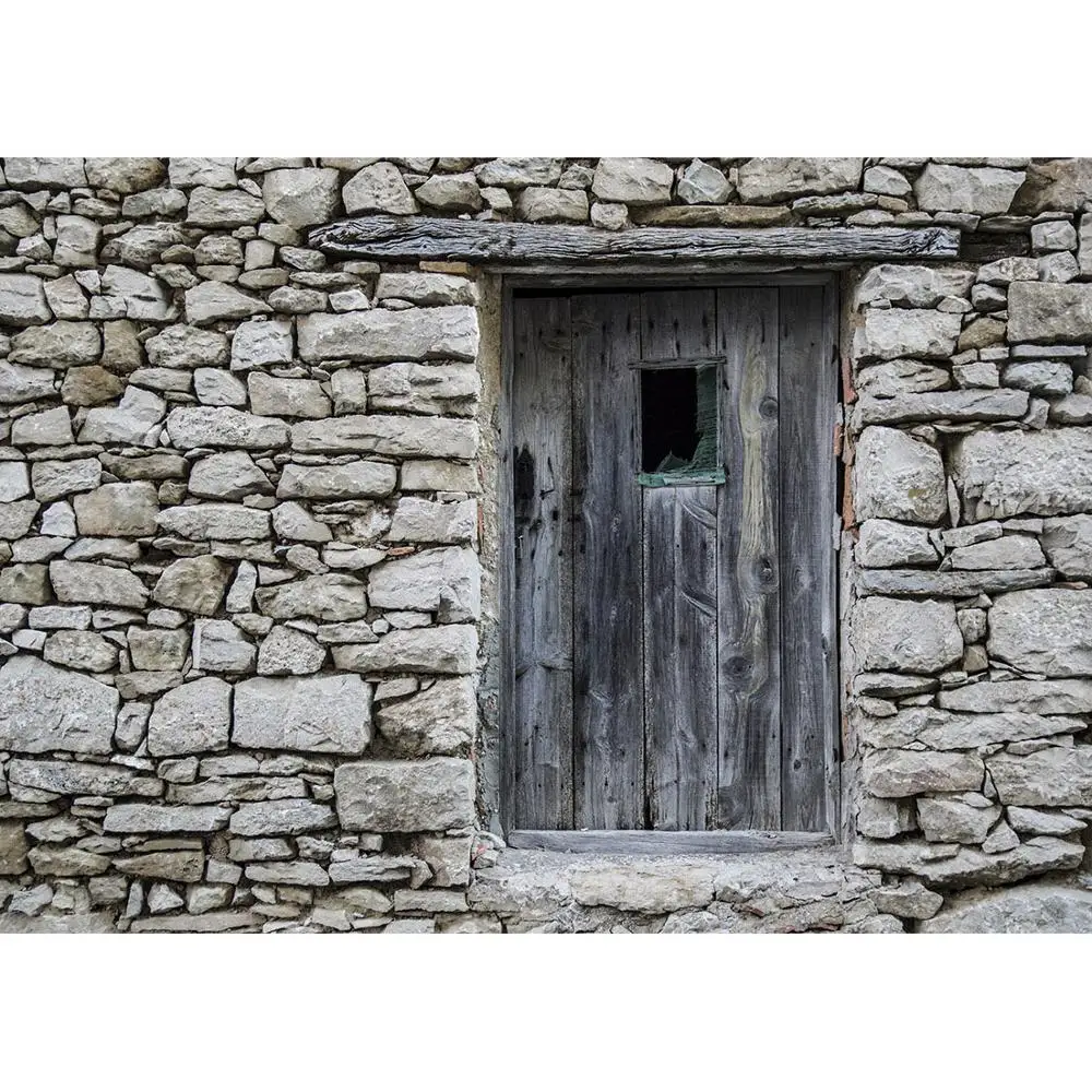 Grey Brick Wall Broken Wooden Door Photography Background Custom Backdrop Photo Studio for Children Baby Portrait Pets Photocall