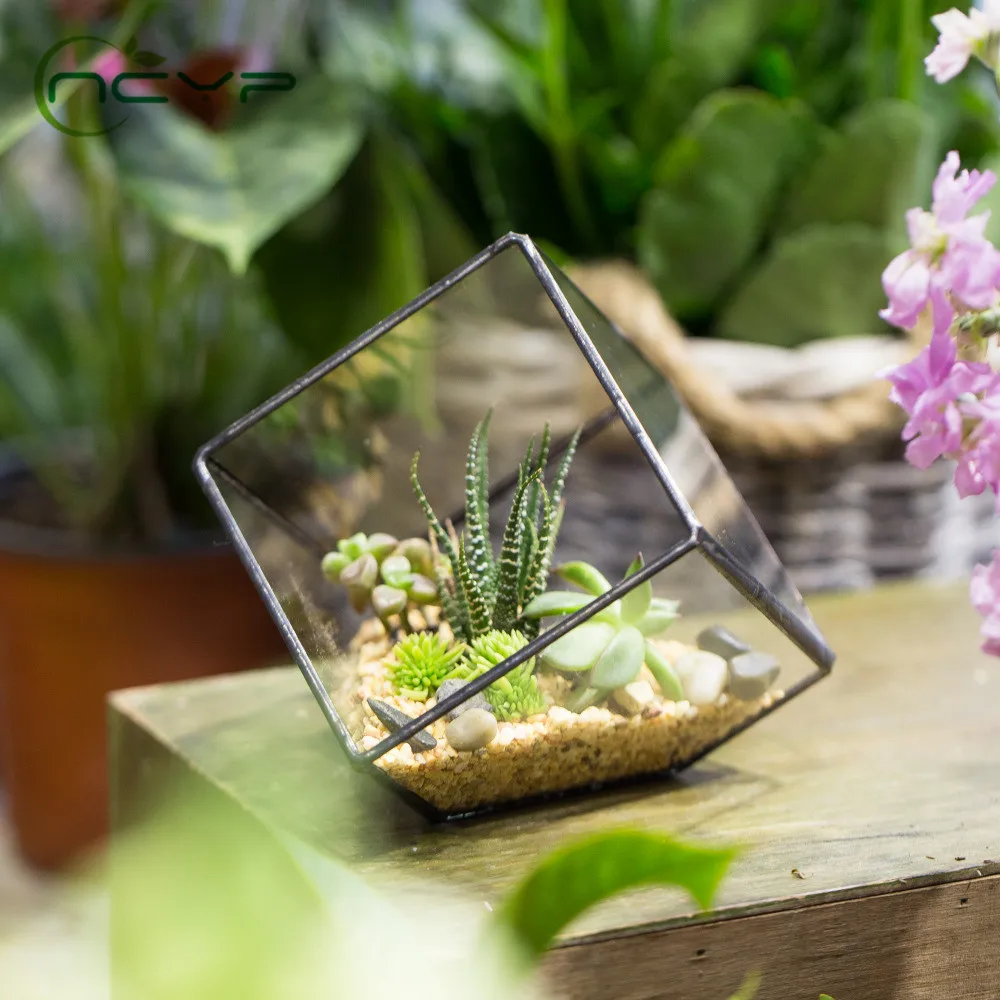 NCYP Glass Flowerpot Handmade Tabletop Succulent Plant Micro Landscape Geometric Terrarium Bonsai Glass Box Balcony Pot