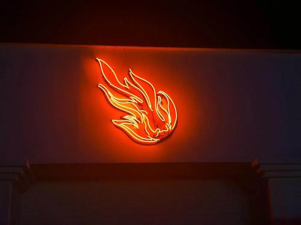 Neon Light Custom Neon Sign  red 45cm HOT flame