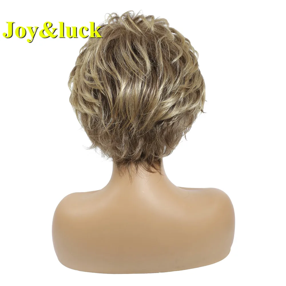 Joy&luck Short Wig Brown Mix Blonde Color Curly Synthetic Wigs For Women Full Wigs With Bangs Hiar Wigs