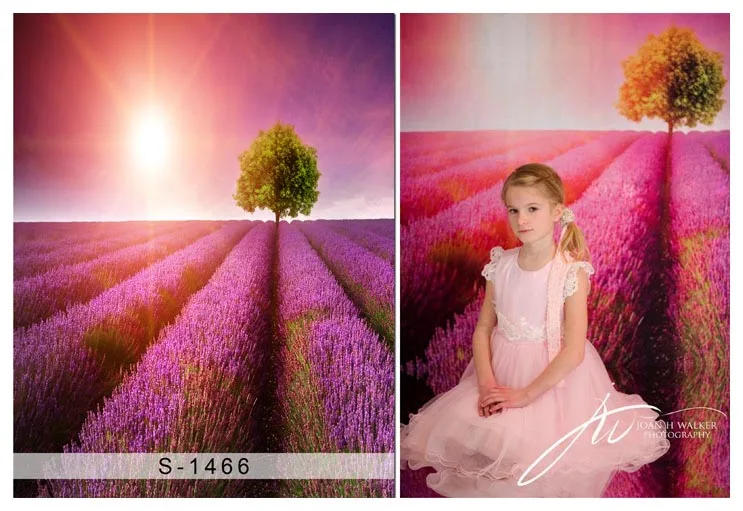 

Provence lavender field backgrounds princess portrait vinyl photography backdrops for girls photo studio kits photophone S-1466