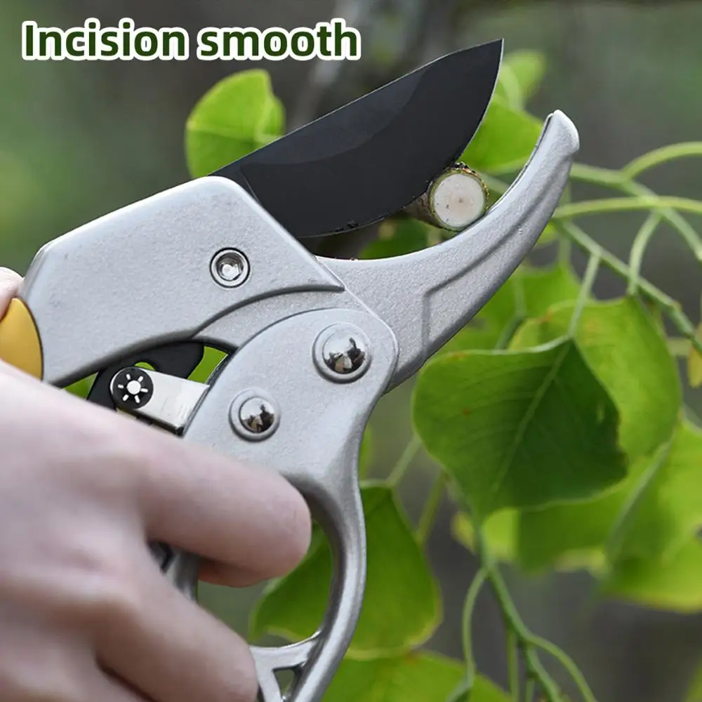 Behogar Professional Stainless Steel Garden Trimming Scissors Pruner Shears Trimmers for Stems Flowers Plants Rose Bush Shrubs