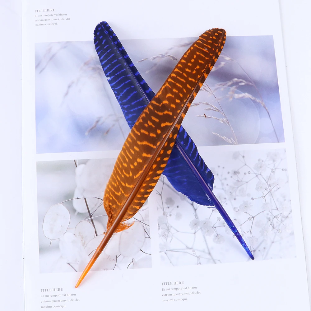 10Pcs/Lot Natural Pheasant Feathers for Crafts 20-25 CM Wedding Decorations Pheasant Feather Plumes Plumas