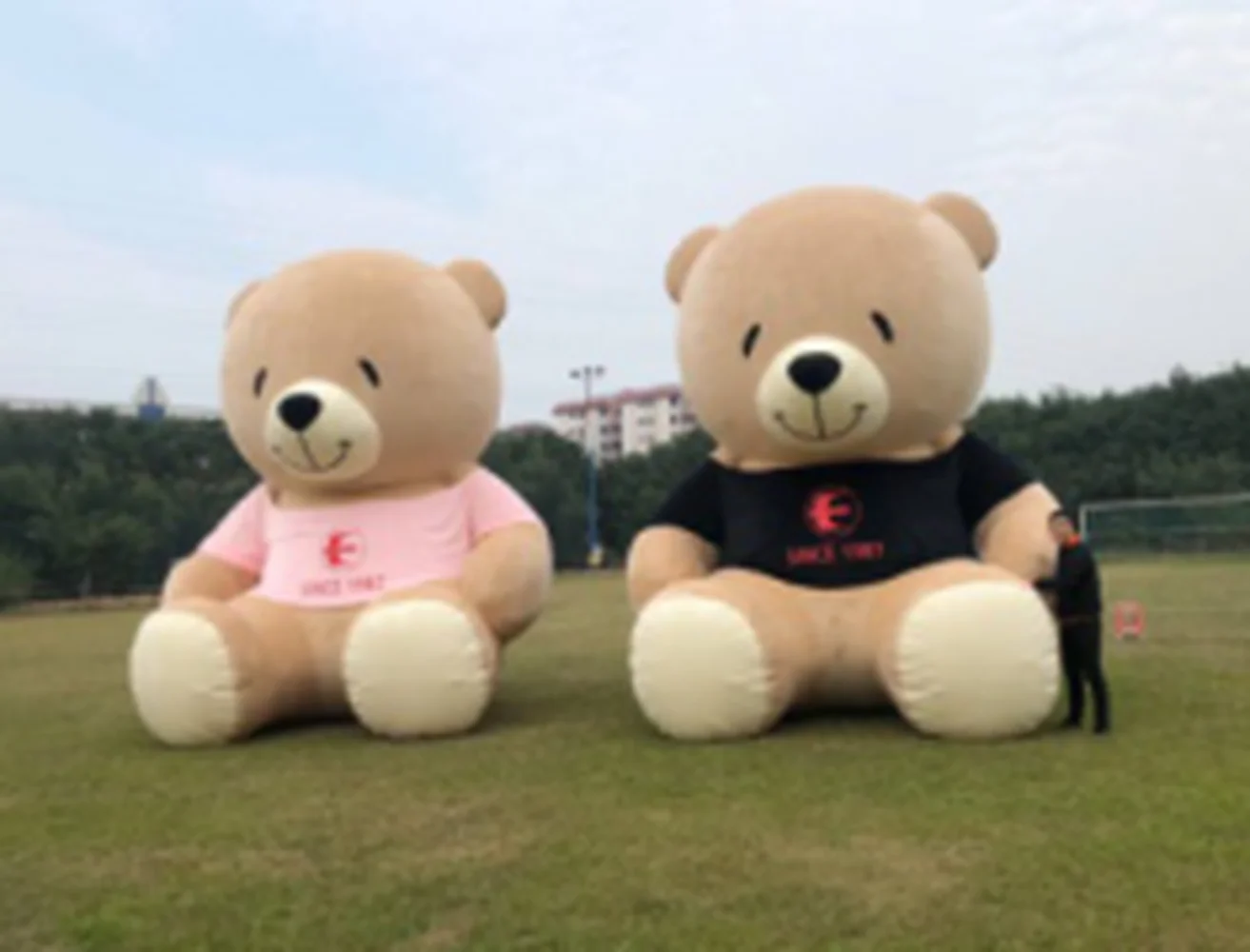 

Ohlees 8M Bear Inflatable Mascot Costume picture is example only,do custom according to customer design