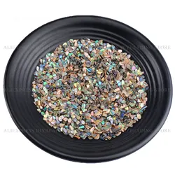 5-500g Inlay Embellishment Chips Bulk Wholesale Natural Abalone Shell Irregular Chips for Jewelry Making/Life Tree/Nail Art