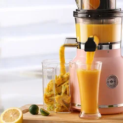 Intelligent Juicer For Separating Fruit and Vegetable Pulp Cold Press Juice Extractor Wide Chute Masticating Juicer