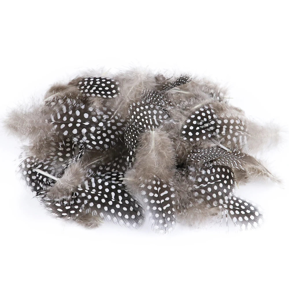 Small Guinea Fowl Pheasant Feathers Natural Feathers Spotted Loose 5-8cm Feathers for Crafts With White Polka Dots Plume Decor