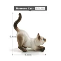 Gato Siamés